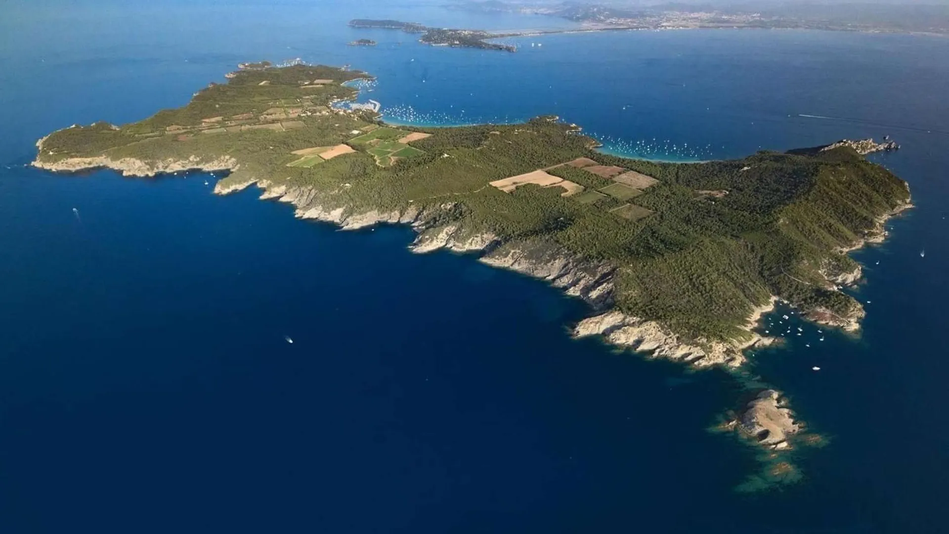 Apartament Le Palm, Appartement Climatise Pour 4 Personnes Avec Vue Mer Et Piscine Sur Le Port D'Hyères