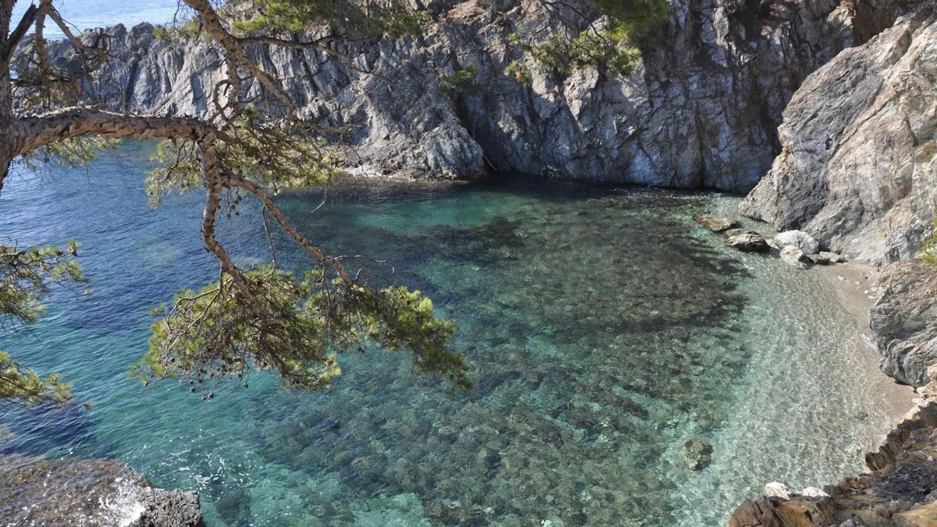 Le Palm, Appartement Climatise Pour 4 Personnes Avec Vue Mer Et Piscine Sur Le Port D'Hyères Apartament
